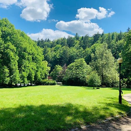 Romanceart Apartments Karlovy Vary Dış mekan fotoğraf